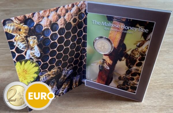 2 euros Malta 2024 - La abeja melífera maltesa BU FDC Coincard